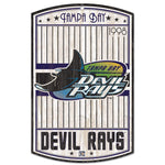 Tampa Bay Rays Wood Sign 11" x 17" 1/4" thick