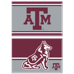 Texas A&M Aggies MASCOT Rectangle Magnet, 2pack 2" x 3"