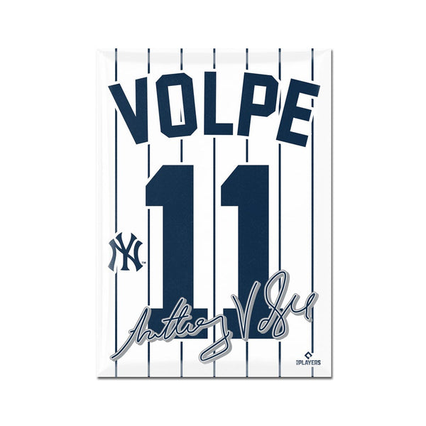 New York Yankees Metal Magnet 2.5" x 3.5" Anthony Volpe