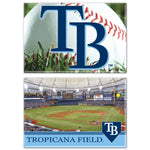 Tampa Bay Rays Rectangle Magnet, 2pack 2" x 3"
