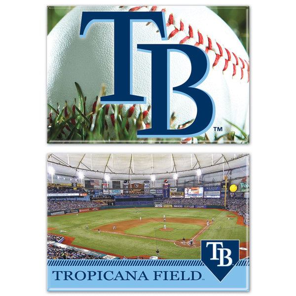 Tampa Bay Rays Rectangle Magnet, 2pack 2" x 3"