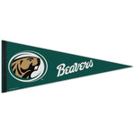 Wholesale-Bemidji State Beavers Premium Pennant 12" x 30"