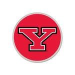 Wholesale-Youngstown State Penguins Collector Pin Jewelry Card