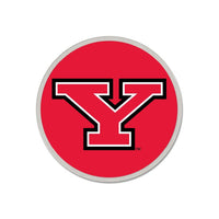 Wholesale-Youngstown State Penguins Collector Pin Jewelry Card