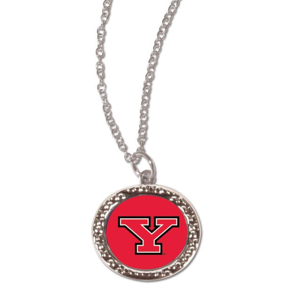 Wholesale-Youngstown State Penguins LOGO HAMMERED Necklace w/Charm Jewelry Card