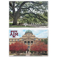 Texas A&M Aggies Rectangle Magnet, 2pack 2" x 3"