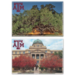 Texas A&M Aggies Rectangle Magnet, 2pack 2" x 3"