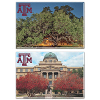 Texas A&M Aggies Rectangle Magnet, 2pack 2" x 3"