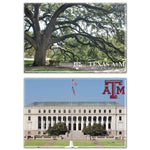 Texas A&M Aggies Rectangle Magnet, 2pack 2" x 3"