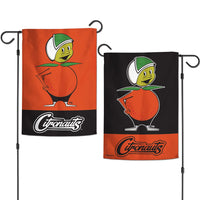 UCF Knights /College Vault Garden Flags 2 sided 12.5" x 18"