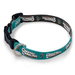 Wholesale-Coastal Carolina Chanticleers Pet Collar