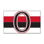 Ottawa Senators / Vintage NHL VINTAGE Collector Enamel Pin Jewelry Card
