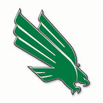 Wholesale-North Texas Mean Green Flexible Decal