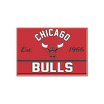 Chicago Bulls Metal Magnet 2.5" x 3.5"
