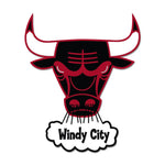 Chicago Bulls / Hardwoods Collector Enamel Pin Jewelry Card