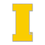 Iowa Hawkeyes Collector Enamel Pin Jewelry Card