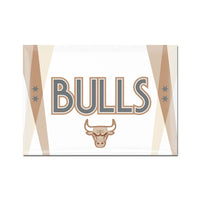 Chicago Bulls / City Edition Metal Magnet 2.5" x 3.5"
