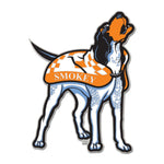Tennessee Volunteers Mascot Collector Enamel Pin Jewelry Card