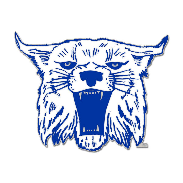 Kentucky Wildcats / Vintage Collegiate Collector Enamel Pin Jewelry Card