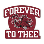 South Carolina Gamecocks Slogan Collector Enamel Pin Jewelry Card