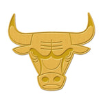 Chicago Bulls Collector Enamel Pin Jewelry Card