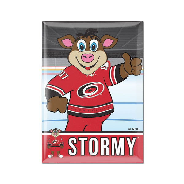 Carolina Hurricanes STORMY Metal Magnet 2.5" x 3.5"