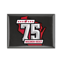 Wisconsin Badgers Metal Magnet 2.5" x 3.5"