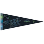 Tampa Bay Rays / City Connect Premium Pennant 12" x 30"