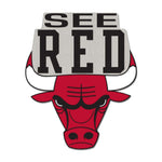 Chicago Bulls Collector Enamel Pin Jewelry Card
