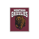 Wholesale-Montana Grizzlies Collector Pin Jewelry Card