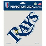 Tampa Bay Rays Rays Perfect Cut Color Decal 8" x 8"