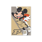 Wholesale-Purdue Boilermakers / Disney Metal Magnet 2.5" x 3.5"