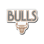 Chicago Bulls / City Edition Acrylic Pin Jewelry Card