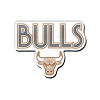 Chicago Bulls / City Edition Acrylic Pin Jewelry Card