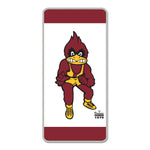 Iowa State Cyclones / Vintage Collegiate Collector Pin Jewelry Card