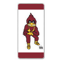 Iowa State Cyclones / Vintage Collegiate Collector Pin Jewelry Card