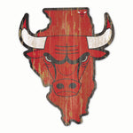 Chicago Bulls STATE SHAPE
