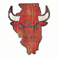 Chicago Bulls STATE SHAPE