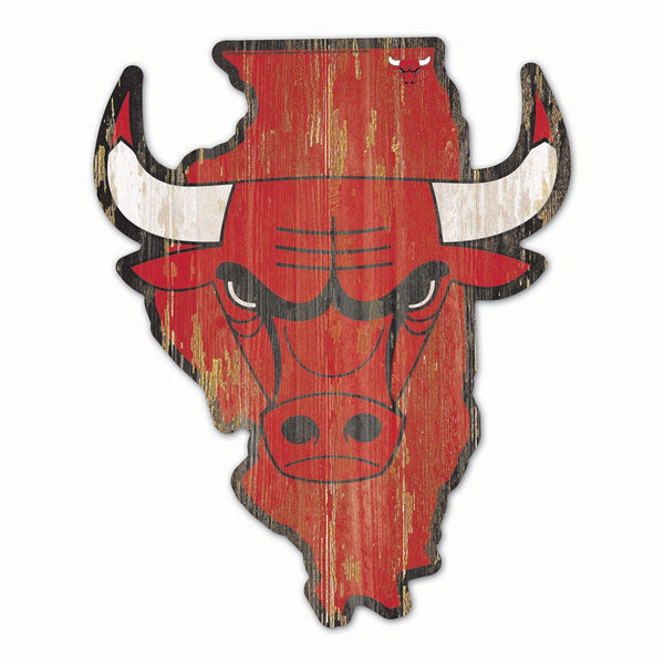 Chicago Bulls STATE SHAPE