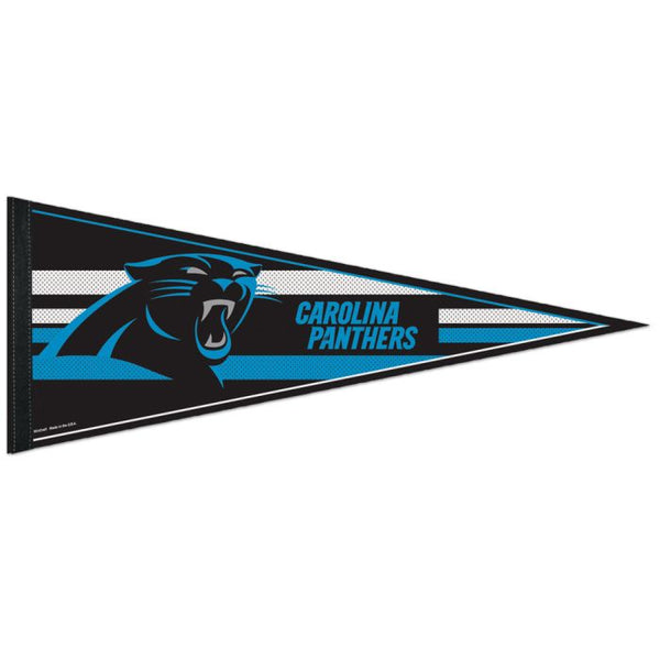 Wholesale-Carolina Panthers Mesh Bkg Classic Pennant, carded 12" x 30"