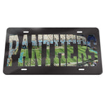 Wholesale-Carolina Panthers STADIUM Specialty Acrylic License Plate