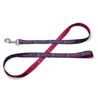 Wholesale-St Louis SC Pet Leash