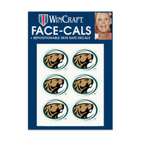 Bemidji State Beavers Face Cals
