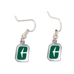 Charlotte Forty-Niners Acrylic loop earrings