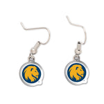 Acrylic loop earrings