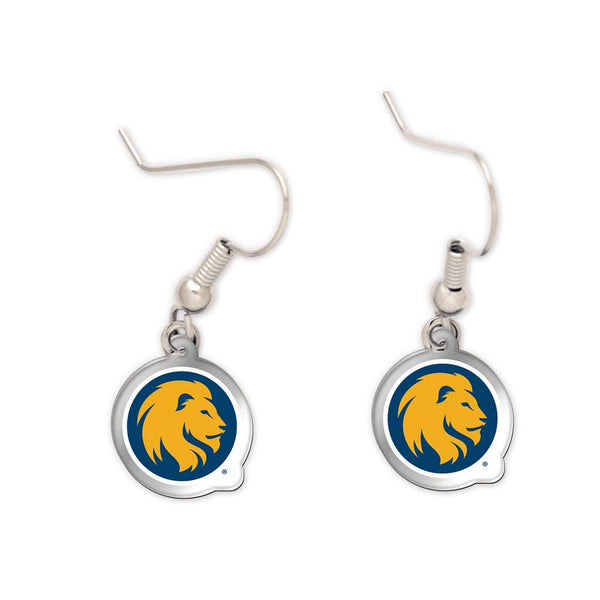 Acrylic loop earrings