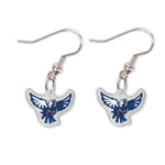 Acrylic loop earrings