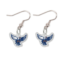 Acrylic loop earrings
