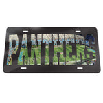 Carolina Panthers STADIUM Specialty Acrylic License Plate