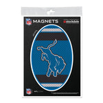 Detroit Lions JERSEY Outdoor Magnets 5" x 7"